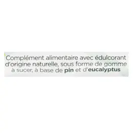 Lehning O.R.L Pâte Suisse Pin et Eucalyptus 40 gommes