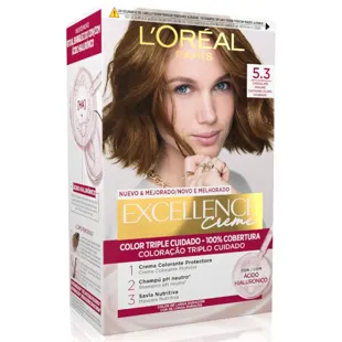 L'Oréal Excellence Creme Tint Shade 5.3 Chocolate Praline