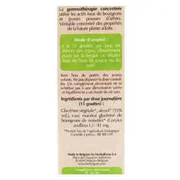 Herbalgem Macérat Concentré Noisetier Bio 30ml