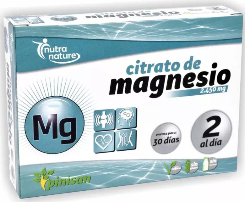 Pinisan Citrato de Magnésio 60 Comprimidos
