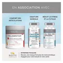 Biocyte Vitamine D3 Liposomal 90 gélules