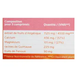 Fitoform Stoma Régul Bio 45 comprimés