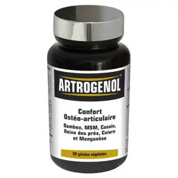 NutriExpert Artrogenol 60 gélules