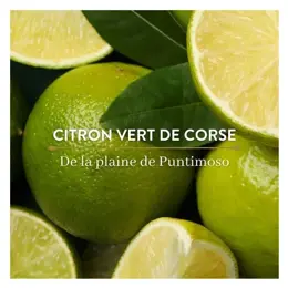 Le Petit Olivier - Gel Douche - Citron Vert De Corse - Sans Savon 270ml