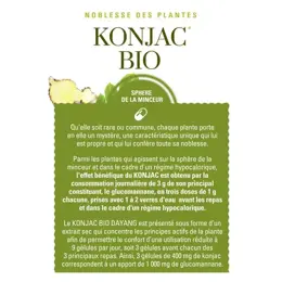 Dayang Konjac Bio Sphère de la Minceur 45 gélules