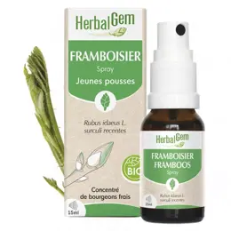 Herbalgem FRAMBOISIER SPRAY BIO 15ML