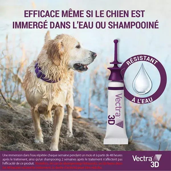Vectra® 3D solution spot-on pour chiens > 4–10 kg 12 pipettes