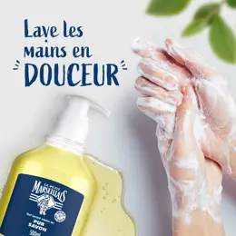 Le Petit Marseillais Gel Lavant Mains Pur Savon 500ml