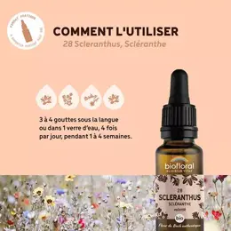 Biofloral Fleur De Bach 28 Scleranthus Scleranthe Compte Gouttes Bio 20 ml