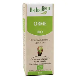 Herbalgem Macérat Concentré Orme Bio 30ml