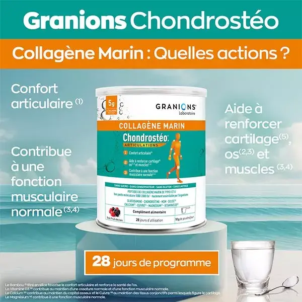 Chondrostéo+ Collagène Marin Confort Articulaire Goût Fruits des Bois Poudre 280g