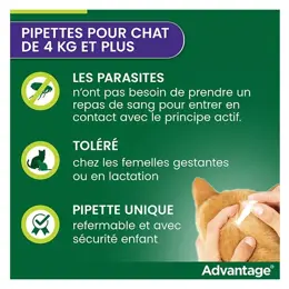 Advantage Solution Antipuce Chat Lapin +4kg 4 pipettes