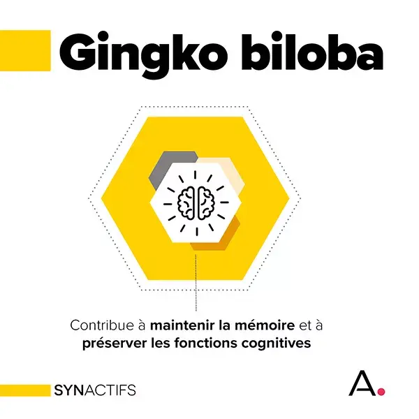 Aragan - Synactifs - MemoProtect® - Mémoire - Ginkgo Biloba - 60 gélules