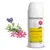 Pranarom Aromapic Roller Anti-Moustiques Bio 75ml