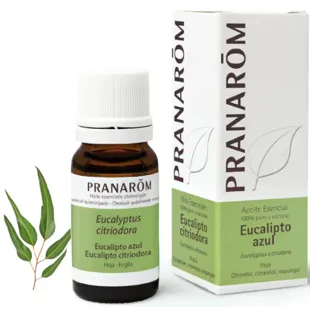 Essential oil of eucalyptus Pranarôm ml