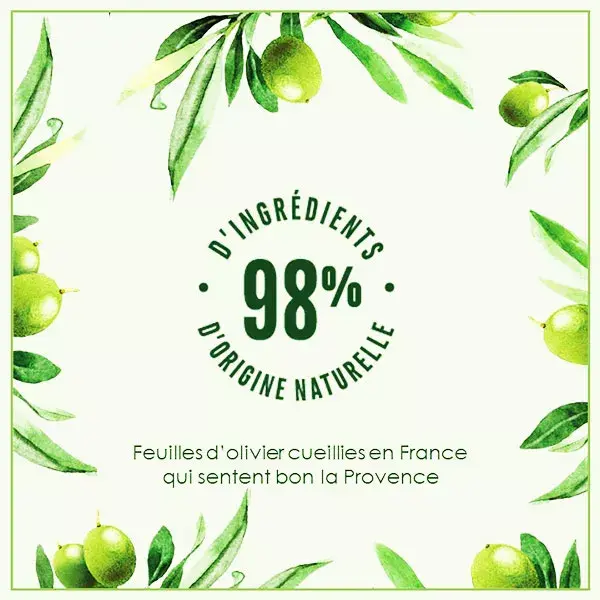 Le Petit Marseillais Bio Gel de Ducha Refrescante Hoja de Olivo Eco-Recarga 250 ml