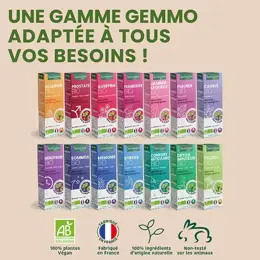 Santarome Bio - Bourgeon de Tilleul Bio - Gémmothérapie - Flacon de 30ml