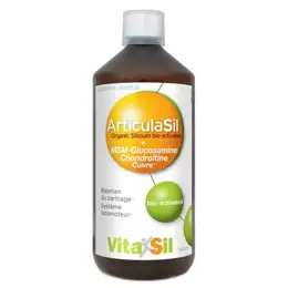 Vitasil Articulasil Silicium + MSM 1L