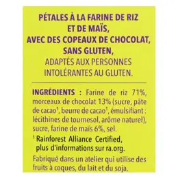 Gerblé Sans Gluten Pétales Céréales Chocolat 300g