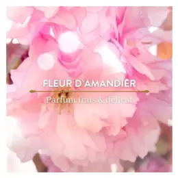 Le Petit Olivier - Gelée De Douche - Fleur D'Amandier - Sans Savon 500ml