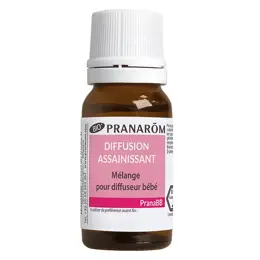 Pranarom PranaBb Mélange Pour Diffusion Assainissant Bio 10ml