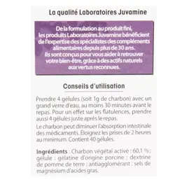 Juvamine Ballonnements Charbon 1000mg 40 comprimés