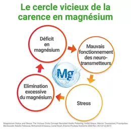 MAG 2 Cannabis Sativa 30 comprimés