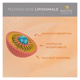 Biocyte Vitamine C Liposomal Fonctionnement Système Immunitaire 90 Gélules