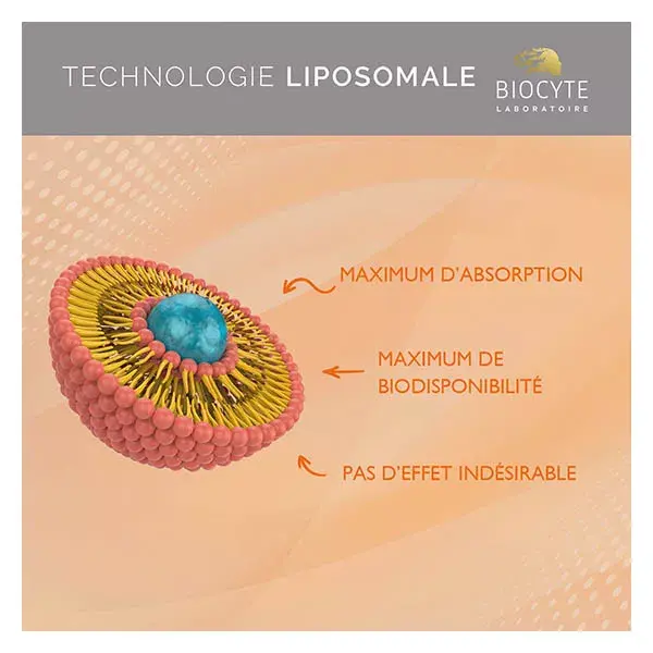 Biocyte Vitamine C Liposomal Fonctionnement Système Immunitaire 90 Gélules