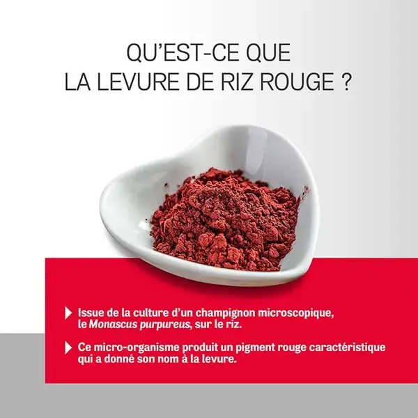 Arterin Levure de Riz Rouge 2,9 mg 2 mois + 1 offert 90 Comprimés