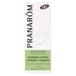 Pranarom Huile Essentielle Bio Eucalyptus à Cryptone 10ml