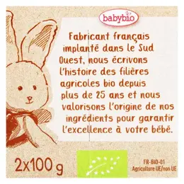 Babybio Desserts Lactés Bol Riz au Lait Vanille +8m Bio Lot de 2 x 100g