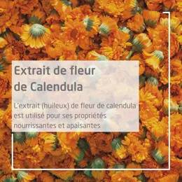 Plante phare  - Extrait de fleur de Calendula