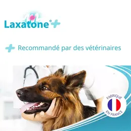 LAXATONE PLUS Complément alimentaire Boules de poils Transit chien chat