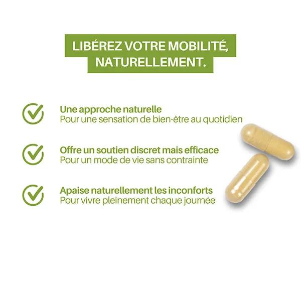 FLEXIDINE 300 ORTHONAT - 4 X 30 Gélules, Contrôle Cholestérol Et Santé Cardiaque, Neuf