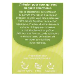 Yogi Tea Equilibre Basique 17 sachets