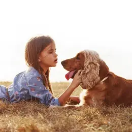 Scalibor Collier Antiparasitaire Petit et Moyen Chien 1 unité