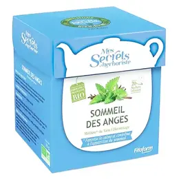 Mes Secrets d'Herboriste Infusion Sommeil des Anges Bio 20 sachets