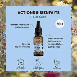 Biofloral Fleur De Bach 11 Elm Orme Compte Gouttes Bio Demeter 20 ml