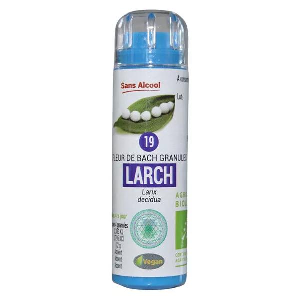 Fiore di Eumadis elisir di Bach No. 19 Larice 6.3 g