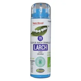 Kosmeo Fleur de Bach 0% Alcool n°19 Larch Bio 120 granules