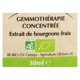 Herbalgem Macérat Concentré Peuplier Bio 30ml