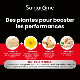 Santarome - Maca 1500 Tribulus Ginseng Gingembre - Tonus sexuel - 30 comprimés