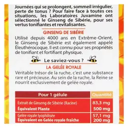 Juvamine Fortifiant Ginseng de Sibérie Gelée Royale 30 gélules