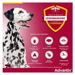 Advantix Chien Solution Antiparasitaire Très Grande Race 40 à 60kg 4 pipettes