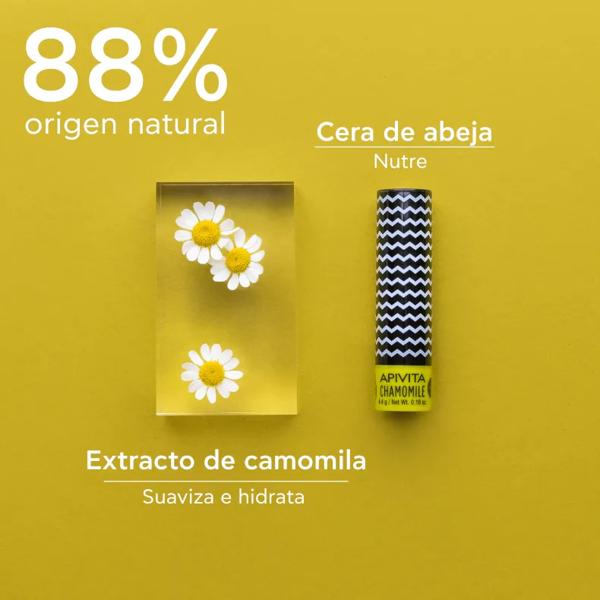 Apivita Lip Care lip care with SPF15 camomile