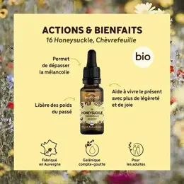 Biofloral Fleur De Bach 16 Honeysuckle Chevrefeuille Compte Gouttes Bio 20 ml