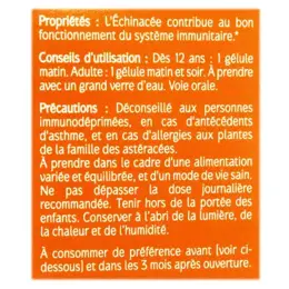 Naturactive Echinacée Bio Défenses Naturelles 60 gélules