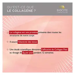 Biocyte Collagen Flex 240g