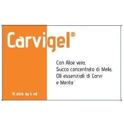 Carvigel 15 Oral Stick Integratore 5 ml